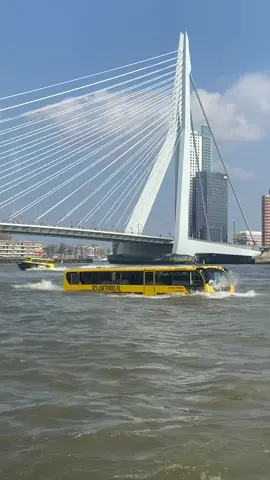 Ασ το εδω δε γραφουνε. #rotterdam #netherlands #waterbus #φγ #φγπ #φγιου #bus #riverbus #erasmusbrug 