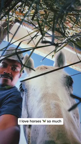 Fun fact! Did you all know i am a cowcoy? Literally ive been a working cowbow for 15 years (not consistently) but once a cowboy always a cowboy! #blackcowboys #horses #nina #oldtownroad 