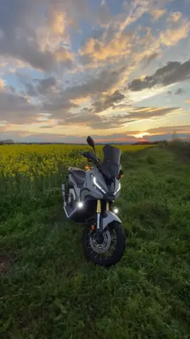 ✨🌅.                                                                    #xadv750 #fyp #prt #xadv2022 