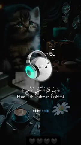 Full watch Quran tilawat and feel this. #Quran 