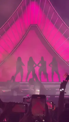 even their silhouettes are pretty #pinkchella #coachella2023 #blackpink #lisa #lalisa #lisablackpink #roséblackpink #jisooblackpink #jennieblackpink #kpop #girlgroup #fyp 