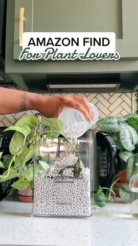 Such a cool and fun way to display propagations! 🌱 Everything linked in my Amazom storefront under “Plant Aesthetic” #PlantTok #plants #plantfinds #amazonfinds #amazonfavorites  #plantdisplay #propagationstation #plantpropagation #indoorplants #houseplants #plantmom