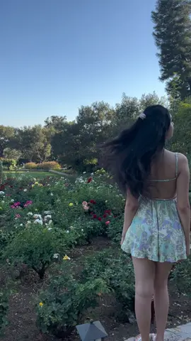 Hello spring🌷 #superbloom #sanysidroranch #fyp #foryou 