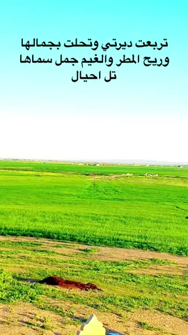تل احيال قريه الشيخ نايف الفيصل الله يرحمه