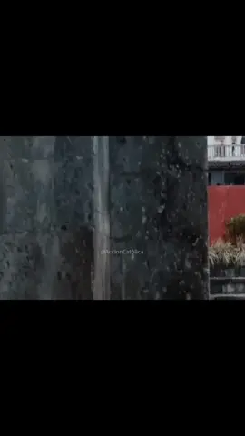 ¡Fiel a su fe hasta el final! 🙌🔥 En esta poderosa escena de 