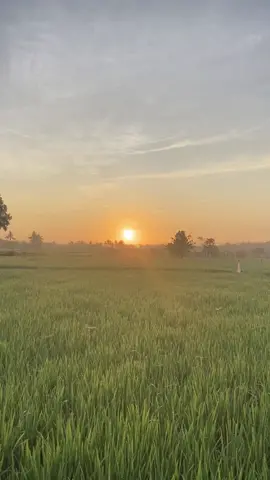 goodmorning✨  #sunrise #aesthetic #vibes #lombok #lomboktiktok #fyp #fypシ 
