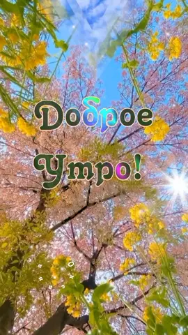 Доброе утро!