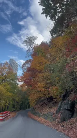 Throw back to drives during fall foilage 🍁 #fallfoilage2022 #fallfoilage #fortleenj #fortlee #nj #newjersey #2022 #fyp #viral #drives #scenicview #autumn 