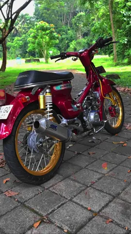 Balas dendam terbaik adalah menjadikan diri Anda lebih baik . . . . . . . . . . Mekanik andalan @gededaruma  #c70 #c70racing #c70sportbali #c70bali #c70modifikasi #pitungc70 #cetul #c70balisport #c70touring #c70indonesia #c70tersakiti #c70jahat  #CapCut 