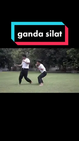 ganda pencak silat 🔥 #geraksilat #pencaksilat #silat #fyp 