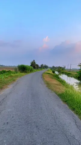 Lama tak meronda layan view bendang😁#sunset #fyp #kampung #kedah 