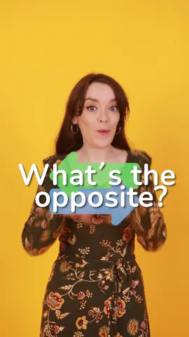 Quiz time!  #english #englishclass #englishlevel #englishpractice #learnenglish 