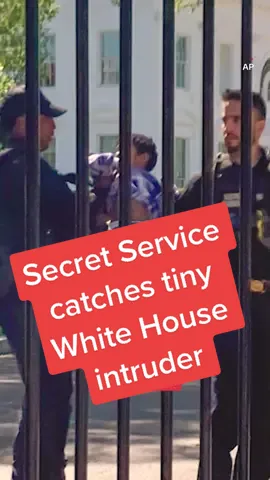 A toddler crawled through the fence at the White House, but Secret Service agents were able to reunite the parents with the child. #whitehouse #secretservice #news #cnn 