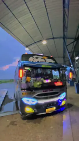 ganteng maksimal 💯 #sumberselamat🐬 #busjawatimuran #sumbergrouploverz #busindonesia #kaptentatto7198 #sumbergroup #videoestetikbus #masukberandafyp 