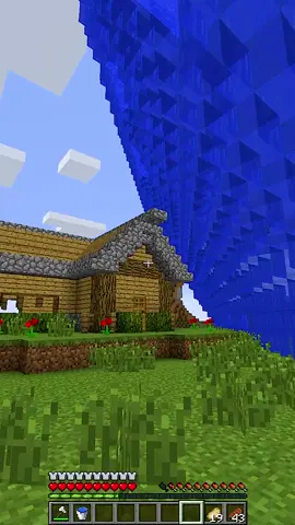 Tsunami #Minecraft ⚠️