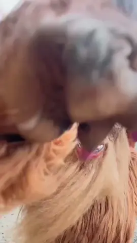 #sideeye 👀 