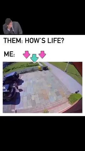 I was running, tripped over because im fat! 😂 Just run me over world!! 🌎 #turning #negative #into #positivity #humor #laughter #life #fyp #rolling #with #what #life #throws #at #you 