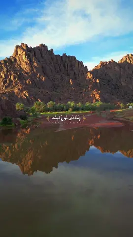 ذكر ربي وحايل 😴♥️ #حمدان_الشمري #حائل #حايل 