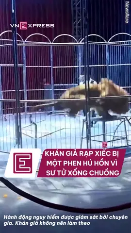 Đi xem xiếc thú nhưng thú này lạ lắm #vnexpress #vne #tiktoknews #lion #rapxiec #xiecthu