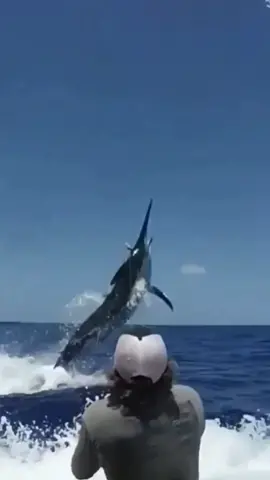 Sea fishing is really unprepared and exciting#fyp #popular #fishing 