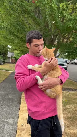 Cats that give kisses #catluminati 
