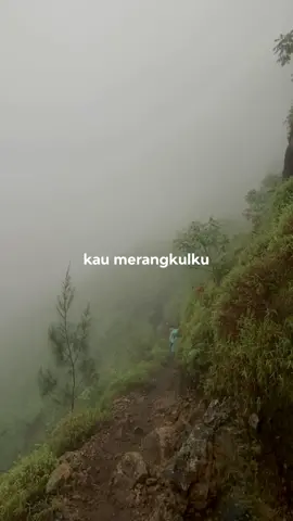 🥀 #daunjatuh #resahjadiluka 