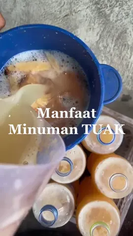 Manfaat Minuman Tuak #tuak #lapotuak #minumtuak 