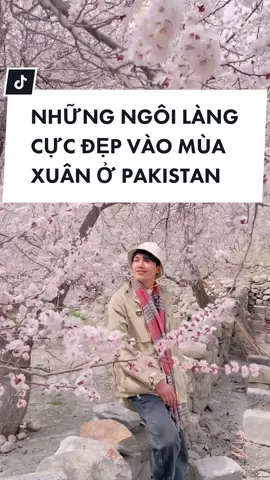 Mùa hoa Pakistan | Top những ngôi làng cực đẹp vào mùa xuân ở Pakistan #travelvlog #pakistan #travelblogger #tiktoktravel #xuhuong #trending #onthemars #trensaohoa #hunza 