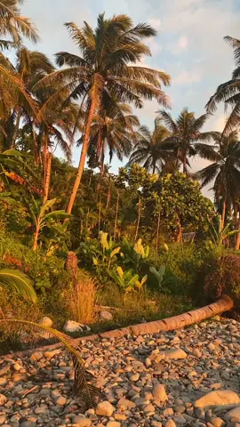 #beautifulsunset #relaxingview #naturevideography #sunsetvideos #sunsetcompilation #lyrics 