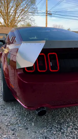 #mustanggt #carsoftiktok #fypシ #cartok #motionraceworks #6sixtystreet #60ft #660mafia #660racing #kennebellsupercharger #mickeythompsontires #gates #dragsolutions #fyp #mustang 