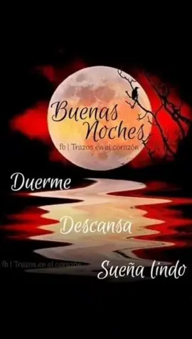 #buenasnoches #parati #julioiglesias #musica #felicesueños 