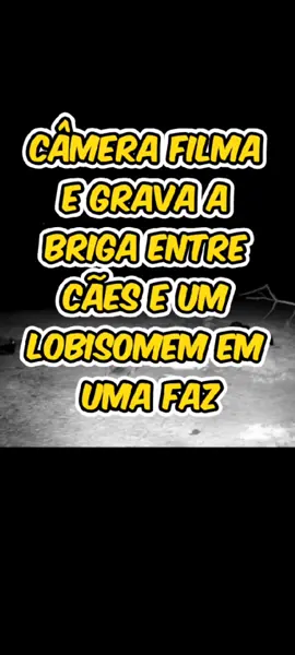 Câmera de uma fazenda grava os sons de uivo e em seguida a briga entre os cães e um Lobisomem. #medo #terror #floresta #arrepio #lobisomem #uivo #noite #luacheia 
