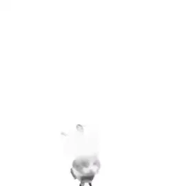 #tennis #bidenblast #wiisports 