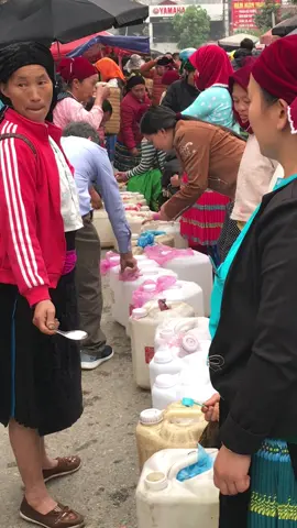 Chợ phiên vùng cao #chochophien #phiencho #chovungcao #chovungcaotaybac #chohagiang #vungcao #migio #migiohg #cuocsongnuida #tiktok #tiktokshopindonesia