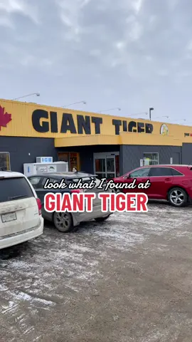 Giant Tiger has the best bags. #gianttiger #gianttigerfinds #shoulderbag #bag #crossbodybag #affordablefashion 