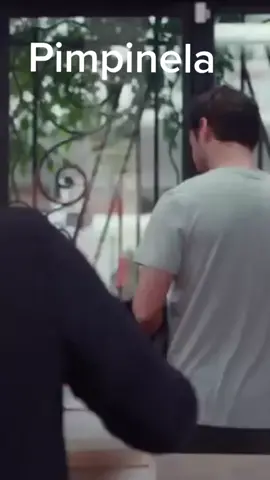 #pimpinela  #Benjamivicuña  #otraoportunidad  #otraoportunidadparaamar 