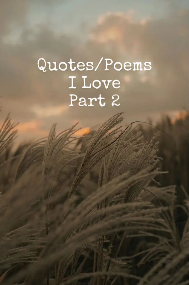 If you're reading this, have a wonderful day. ❤️ #quotes #poem #poetry #fscottfitzgerald #atticus #sylviaplath #sad #sadness #pain #painful #beauty #beautiful #thepainfulbeautyoflife 