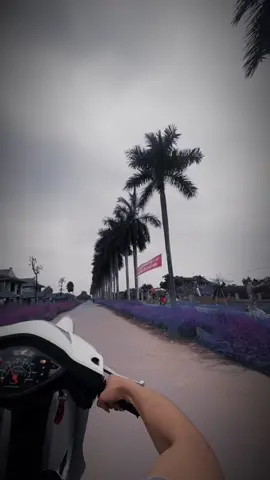 #xuhuong  