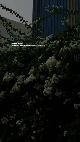 muốn được đi chơi cùng em