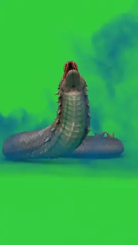 Dragon #hottrend #dragon 
