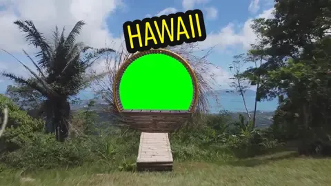 Hawaii #hawaii #hawaiitiktok #tiktok #pfy #foryou #greenscreen #greenscreenvideo #greenscreenchallenge #greenscreeneffect #fyp 