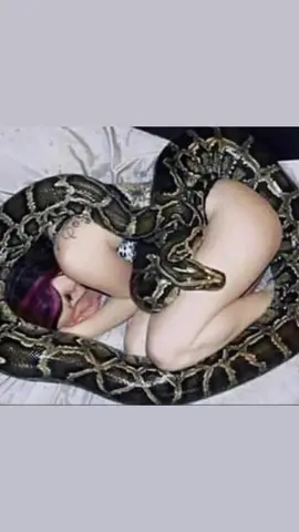 A woman had a pet snake that she loved very much. The snake was about 7 ft long and one day it just stopped eating. After several weeks of trying everything the lady still couldn't get the snake to eat. The woman took the snake to the vet and explained her situation. The vet replies 