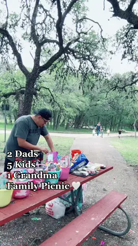 I loved having picnics at the park with my mom and now i get to have those with her and our family.  #CapCut #twodads #dadsoftiktok #dadtok #parents #parenting #dadlife #fyp #parentsoftiktok #ourfamily #picnic #familypicnic #toddlertok 