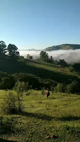 que frio ❄️🥶 #natureza #frioooooooo🥶🥶🥶🥶🥶 