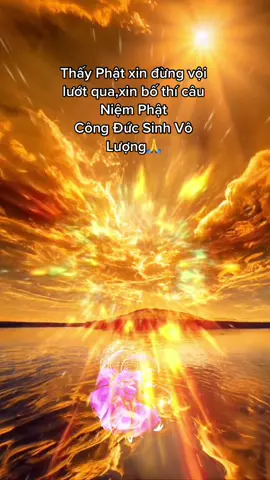Nam Mô A Di Đà Phật#phatgiao #đạophậtbìnhan #đạophật #nhạcphậttịnhtâm  #xuhuong 