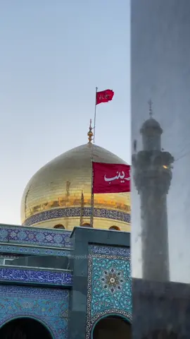 لِنذهَبّ لِلسيدة زينب (ع) عَوضًا عَن الجنّة 💔    #مسلم_الوائلي  . . #السيدة_زينب #يازينب #ياحسين #ياعلي #كربلاء #ياعباس #viral #fyp #يازينب_مولاتي 