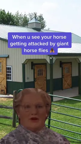 Be out there with a loaded bottle of fly spray 🪰  #CapCut #fypシ #fypシ゚viral #horsetok #horsesoftiktok #horses #horsebackriding #horseriding #horsememes #equestrian #equestrianlife #farmlife #livestock #horsegirl #horses 