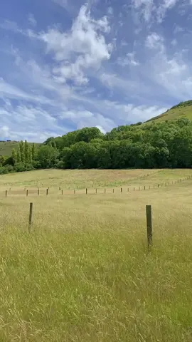 Gentle summer warmth