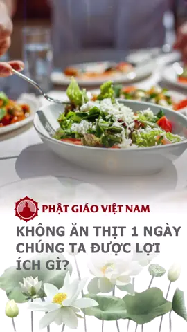Không ăn thịt một ngày, chúng ta được lợi ích gì? #xuhuong #xuhuongtiktok #phatphap #phatphapnhiemmau #phatgiao #phatgiaovietnam