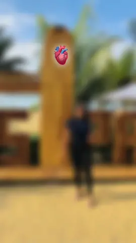 🫀 